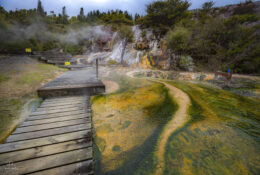 New Zealand 2025 (2 group) (52/84)